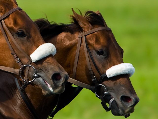 Melbourne Cup Day!